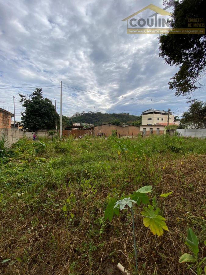 WhatsApp Image 2025-06-09 at 11.19.25.jpeg